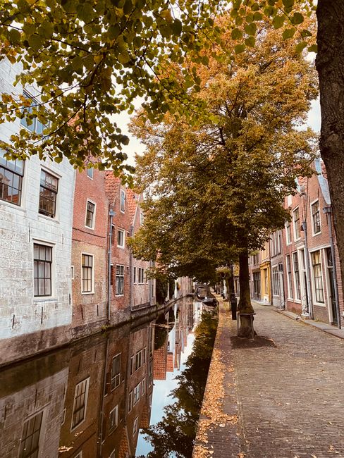 Photo by Maryan Bakker on Pexels