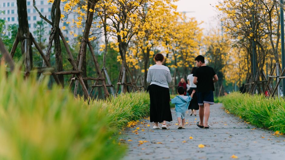 Photo by Hòa Lê Đình on Pexels