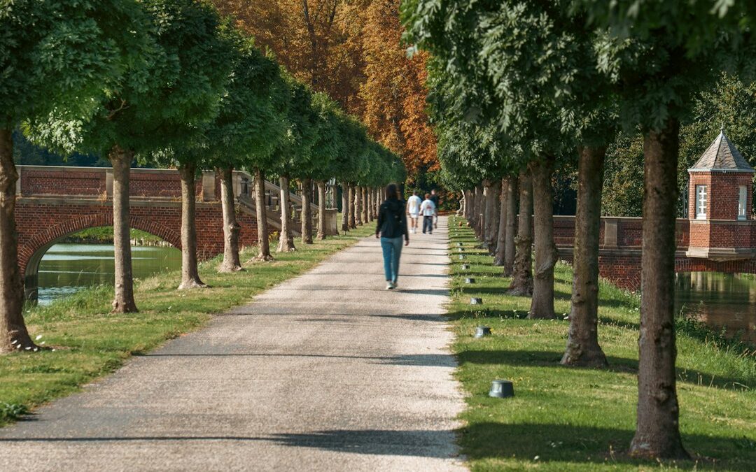 What Draws People to Live in Pittsford, NY?